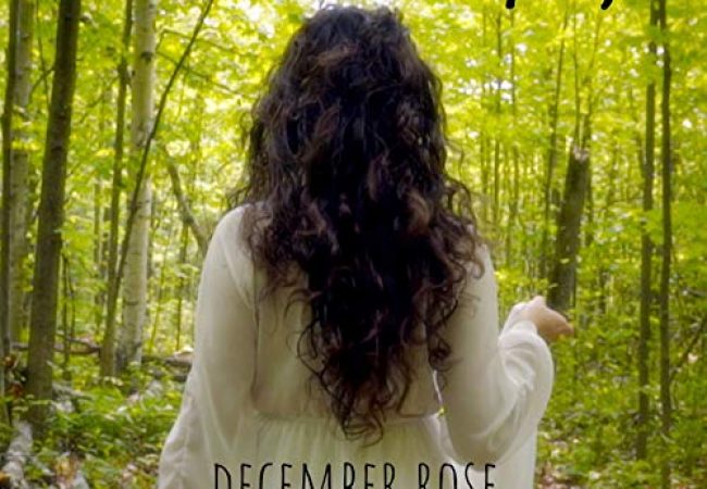 December Rose - when we were youg