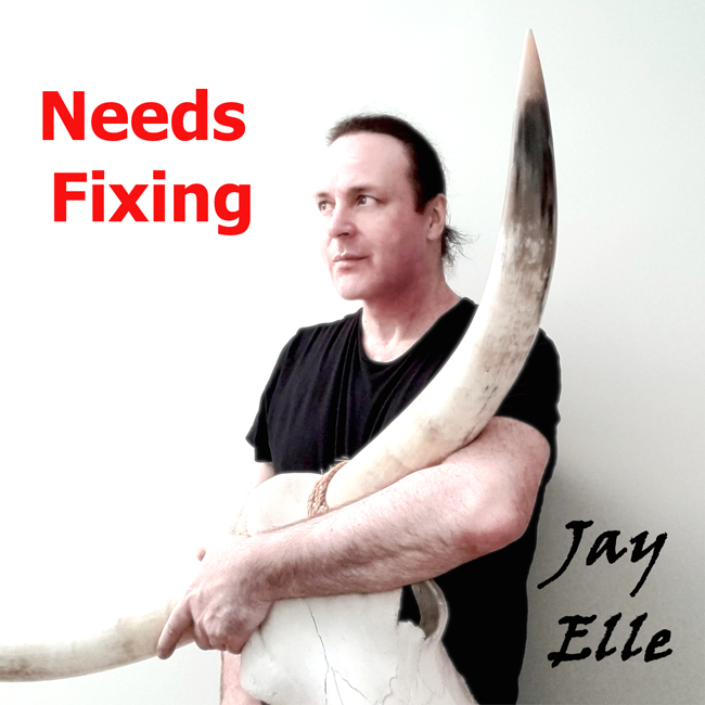 jay elle - Needs Fixing_cover