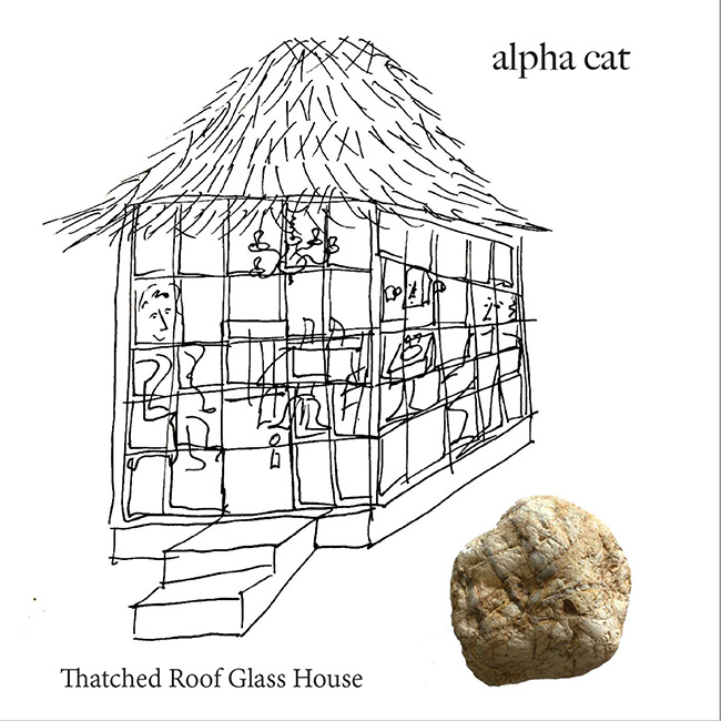 Alpha-Cat-Thatched_Roof_cover_650x65072.jpg