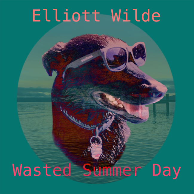 Elliott-Wilde-cover.jpg