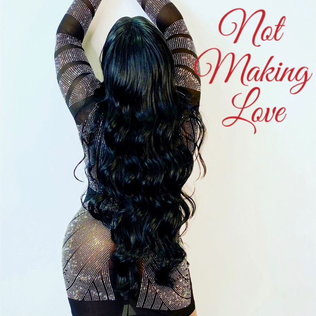 Intelligent-Diva-Not_Making_Love_Cover_Art-cover.jpg