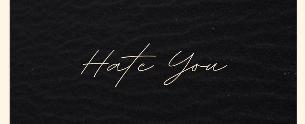 Hate-You-.jpeg