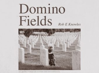 Rob-E-Knowles-DominoFields-cover.jpg