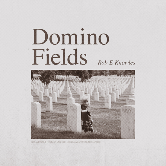 Rob-E-Knowles-DominoFields-cover.jpg